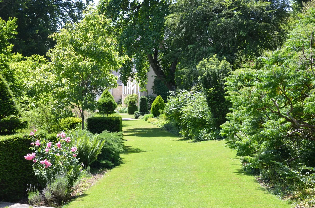 Chemin bordé de végétation luxuriante et d'arbres dans un espace vert magnifiquement aménagé.