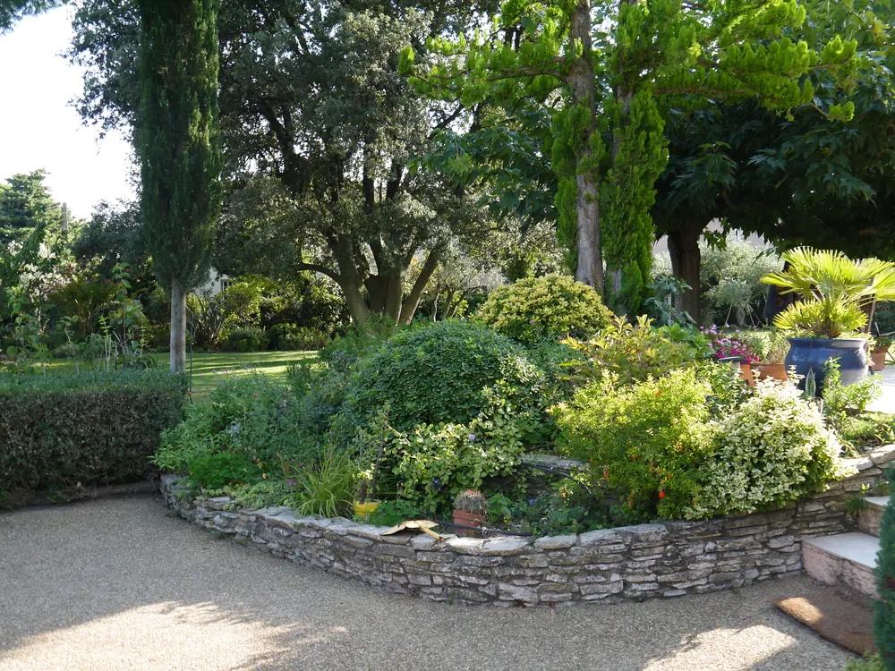Plantation d’un arbuste dans un sol préparé, symbolisant les travaux de jardinage et d’aménagement extérieur. ​​