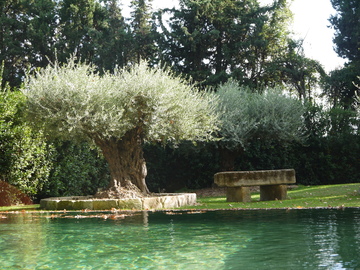 Création de jardin à Avignon