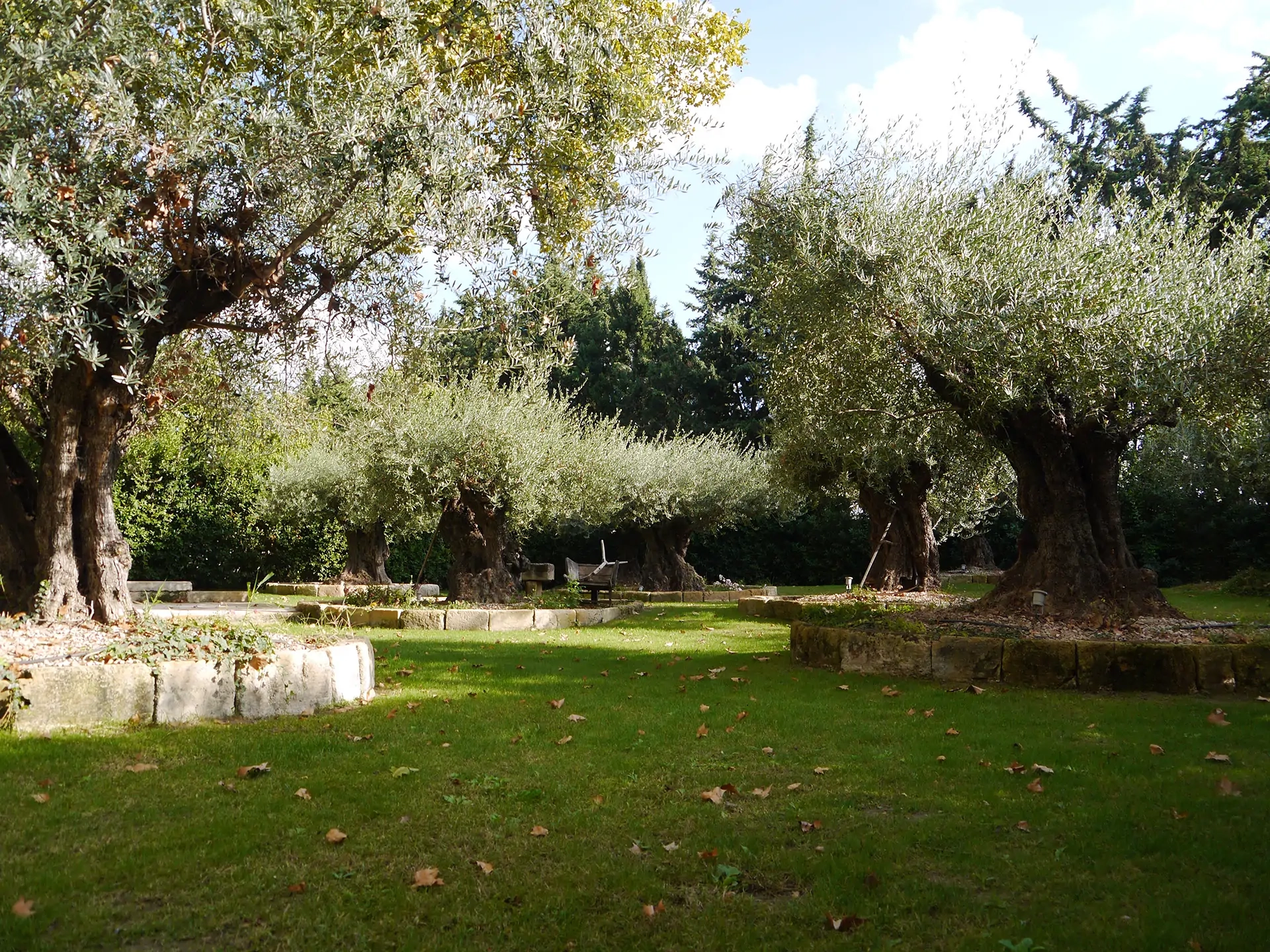 <span>Baptiste Parcs et Jardins</span> Paysagiste